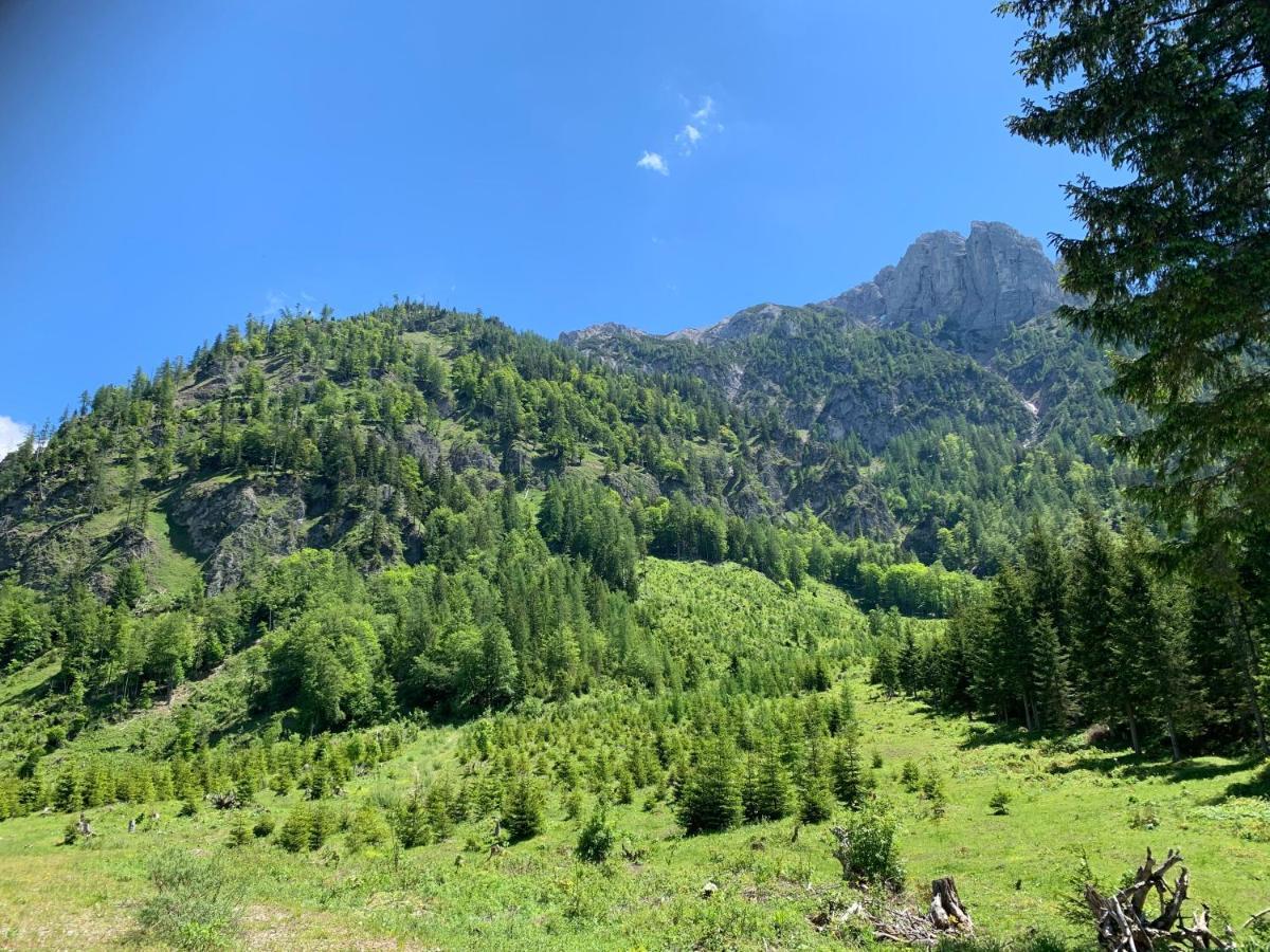 Apartment Kumitzblick Obersdorf Luaran gambar